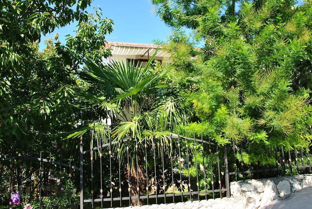 Apartment Zvonar Donji Okrug  Luaran gambar