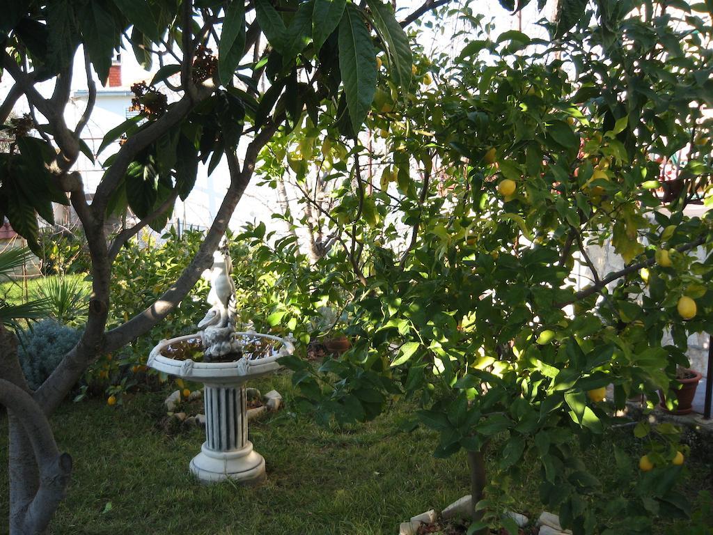 Apartment Zvonar Donji Okrug  Luaran gambar